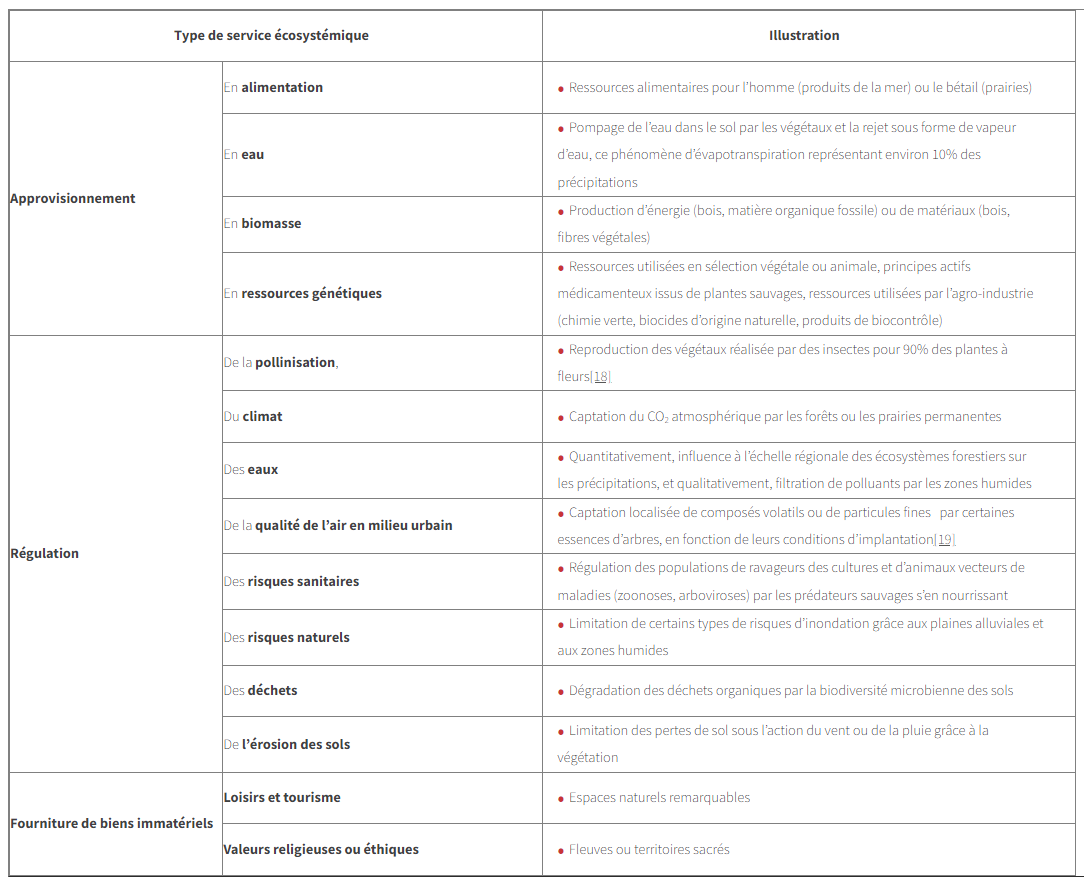 Tableau Annexe 1 - Typologie des services rendus par les écosystèmes à l’Homme  d’après le Millenium Ecosystems Assessment