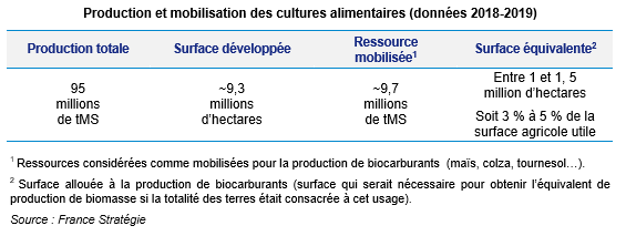 tableau production et mobilisation des cultures alimentaires