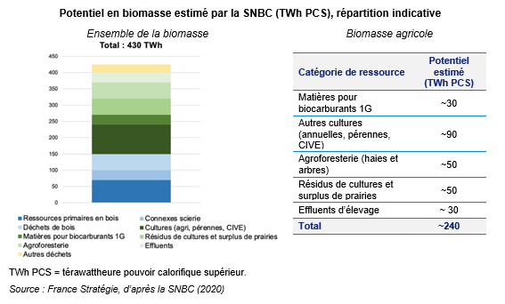 Graphique potentiel de biomasse estimée par la SNBC