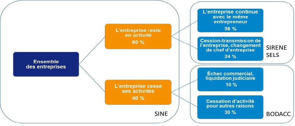 Schéma – Devenir des entreprises cinq ans après leur création, selon les données de SINE, BODACC et SIRENE SELS sur la période 2010-2015