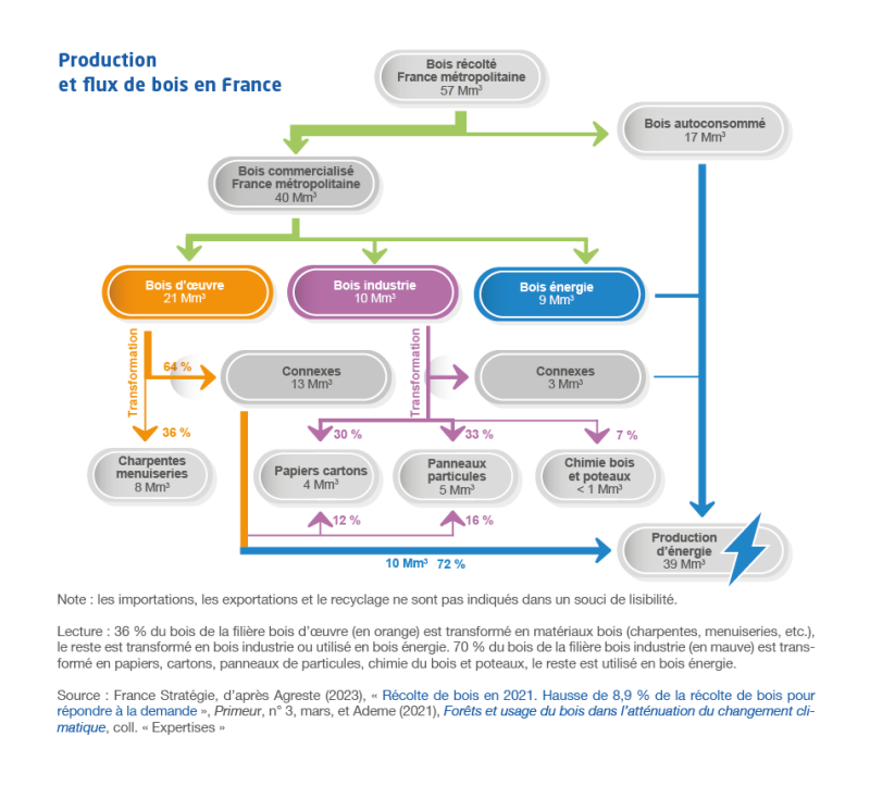 Infographie "Production et flux de bois en France"