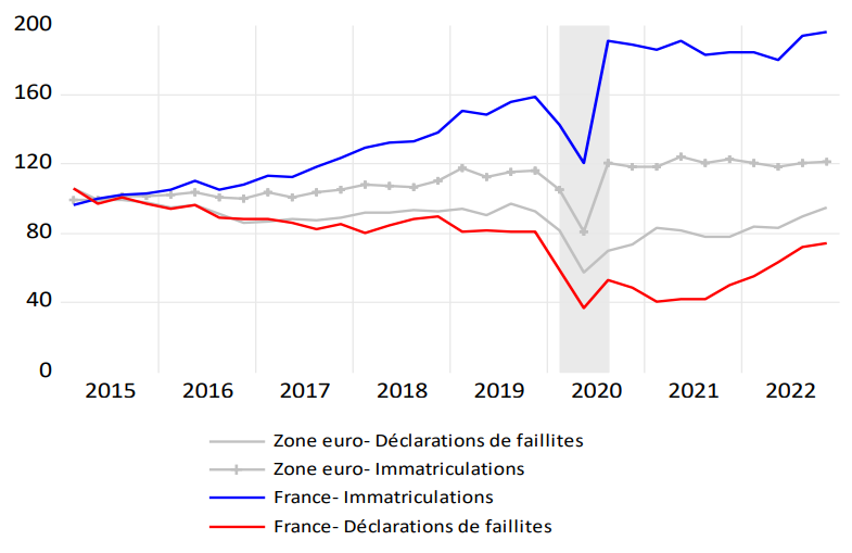 Graphique 6 – Évolution du nombre d’immatriculations  et de faillites en France et en zone euro
