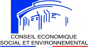 Conseil économique, social et environnemental